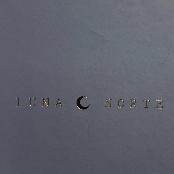 Luna Norte Pyrite Stud Earrings - Picture 4 of 4